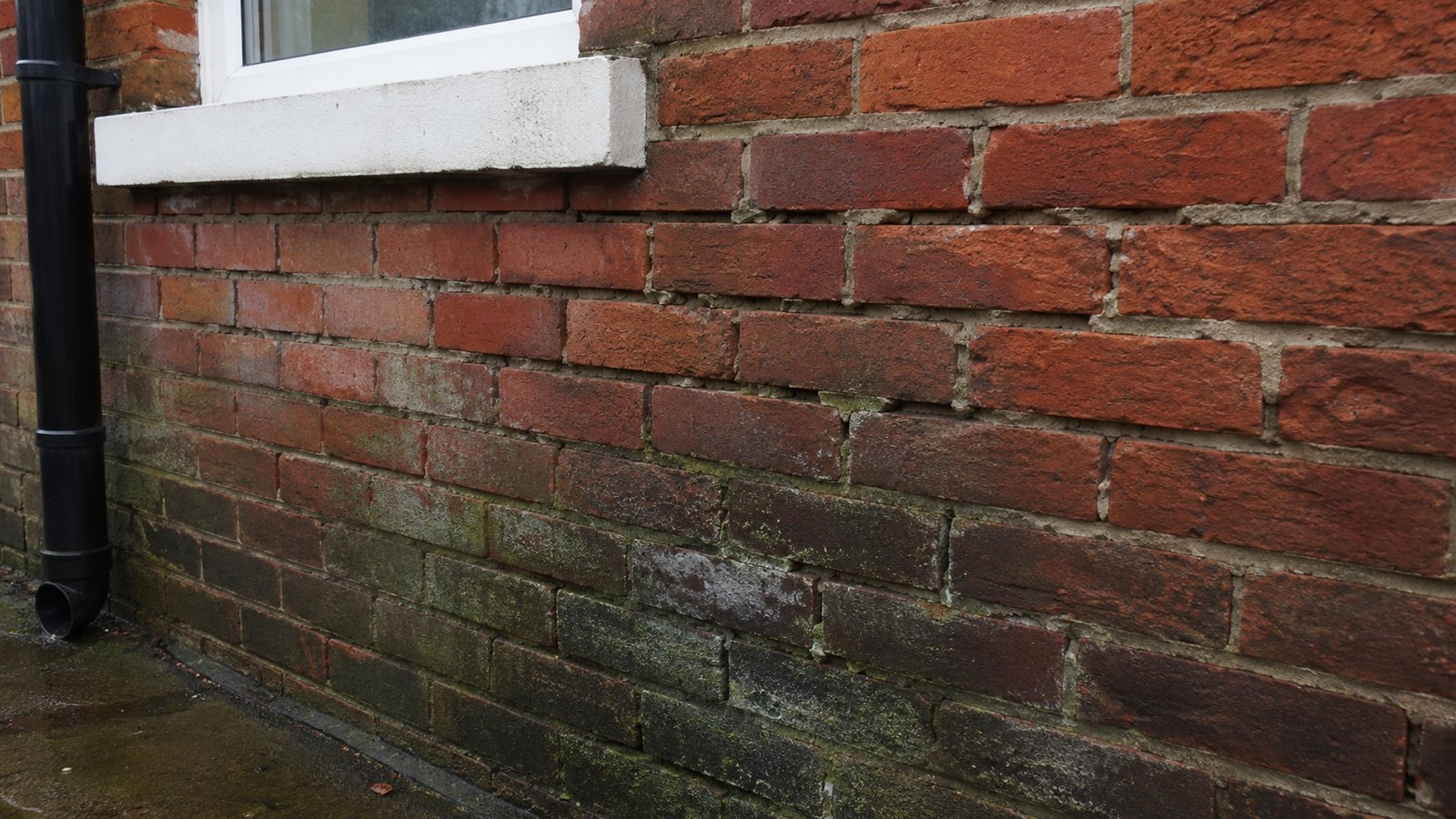 External brick wall showing defects associated with penetrating damp